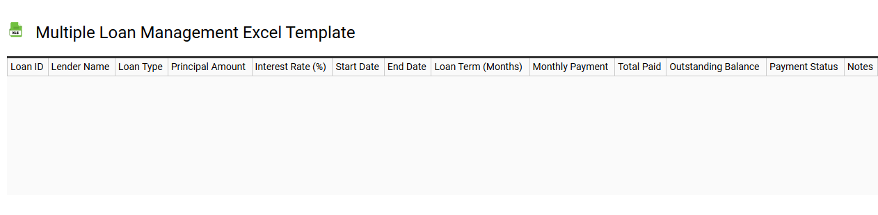 Multiple loan management Excel template