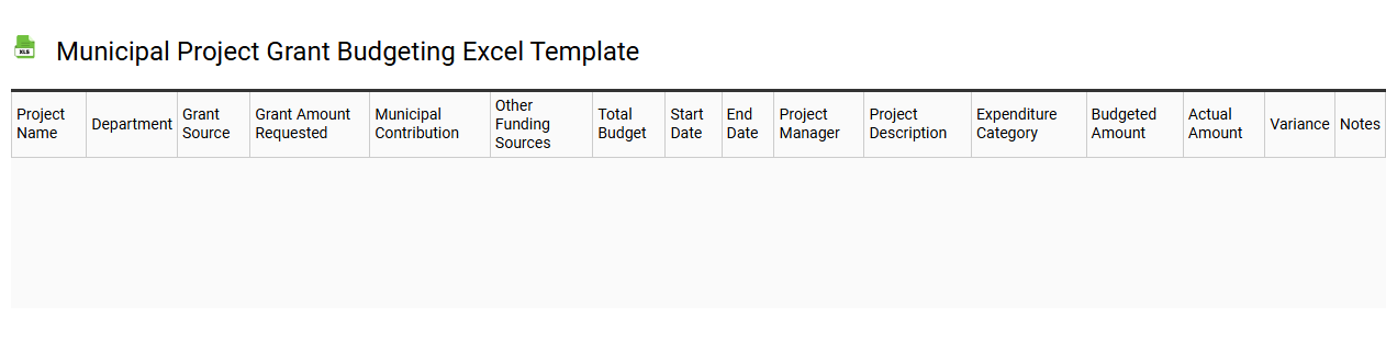 Municipal project grant budgeting Excel template
