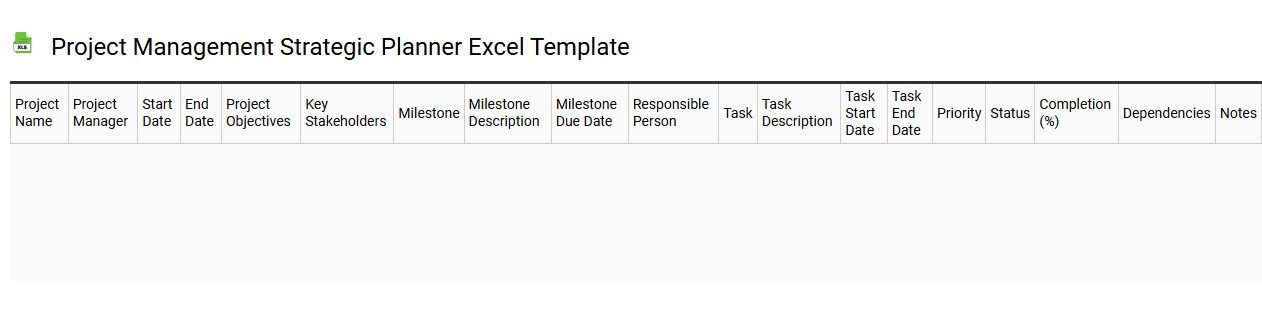 Project management strategic planner Excel template