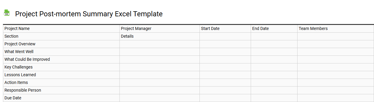 Project post-mortem summary Excel template