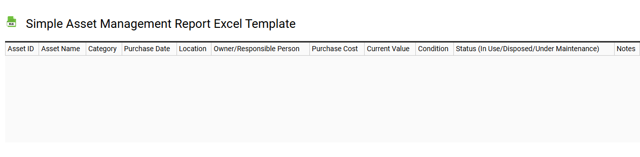 Simple asset management report Excel template