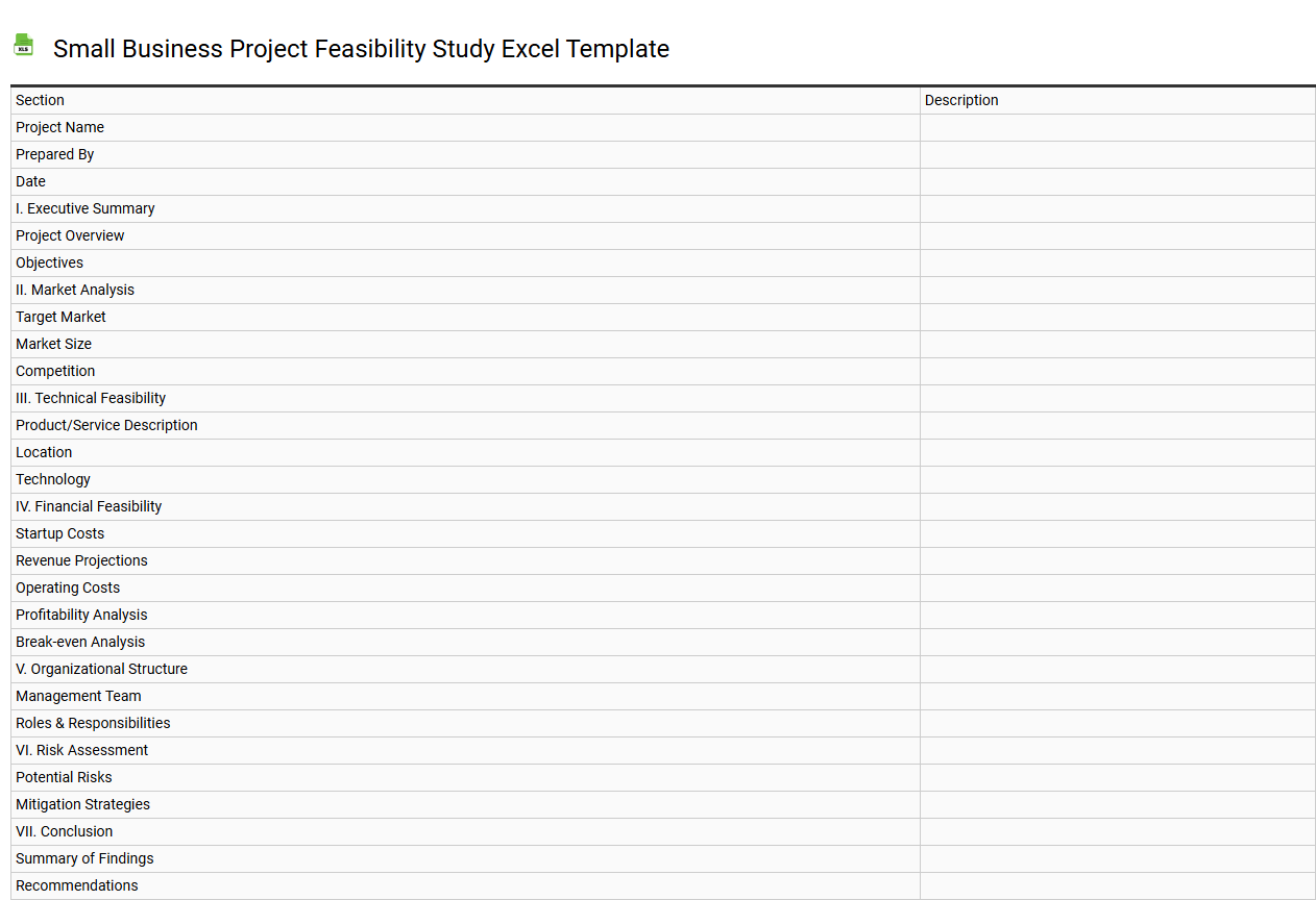 Small business project feasibility study Excel template
