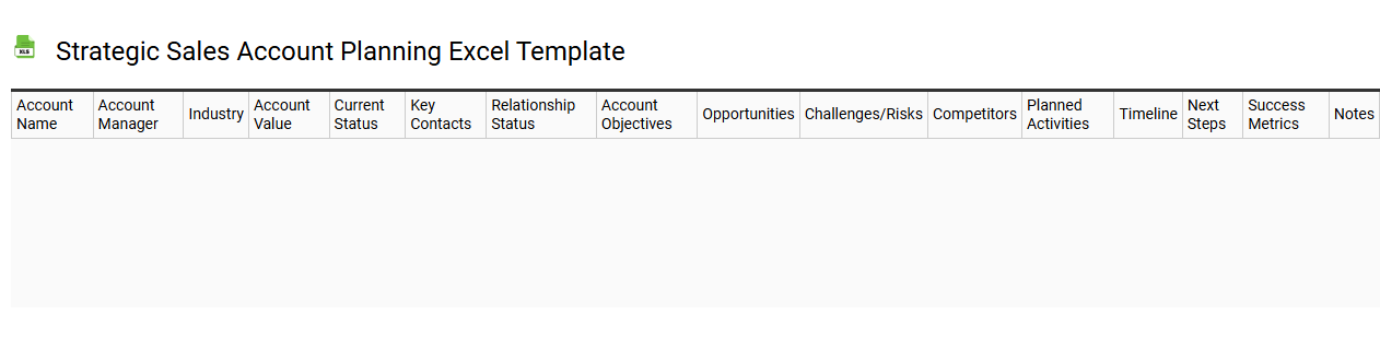 Strategic sales account planning Excel template