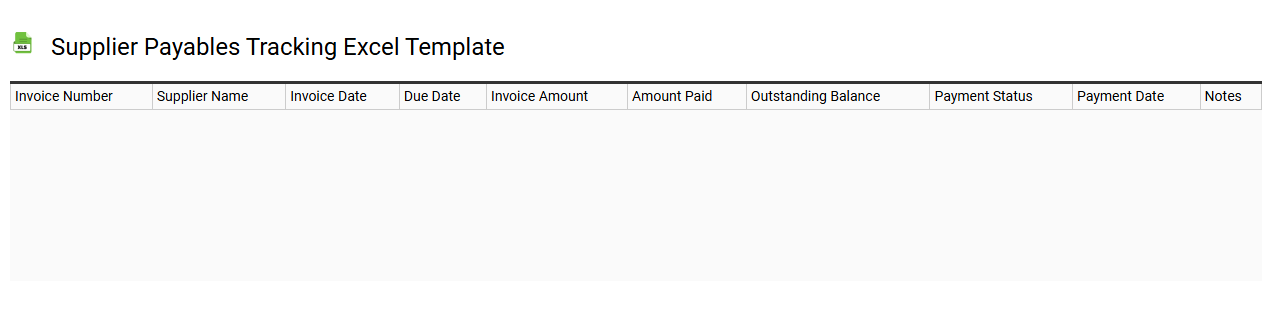 Supplier payables tracking Excel template