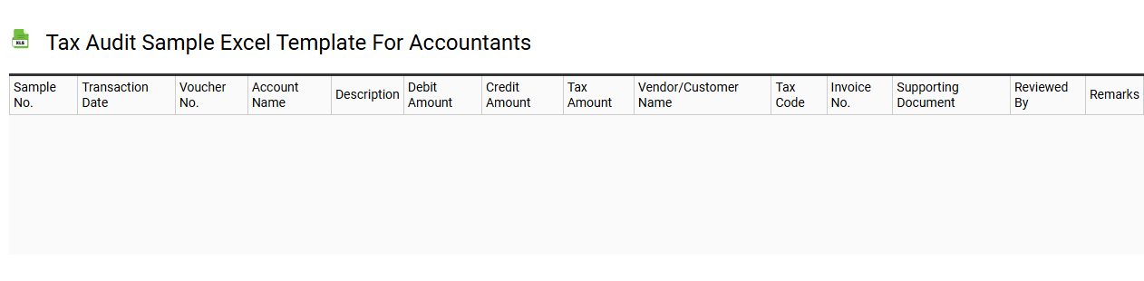 Tax audit sample Excel template for accountants
