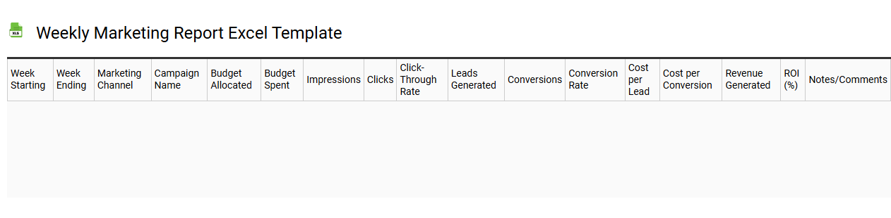 Weekly marketing report Excel template