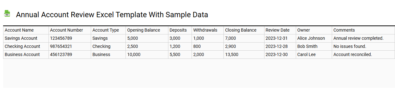 Annual account review Excel template with sample data