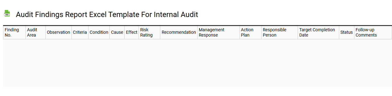 Audit findings report Excel template for internal audit