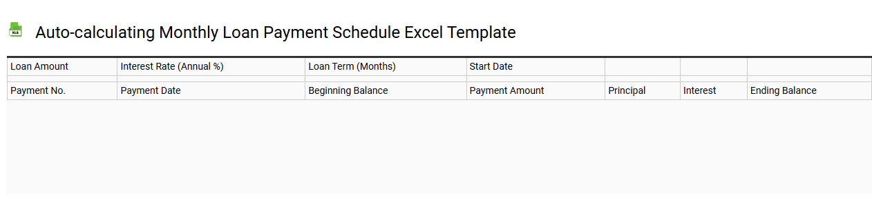 Auto-calculating monthly loan payment schedule Excel template