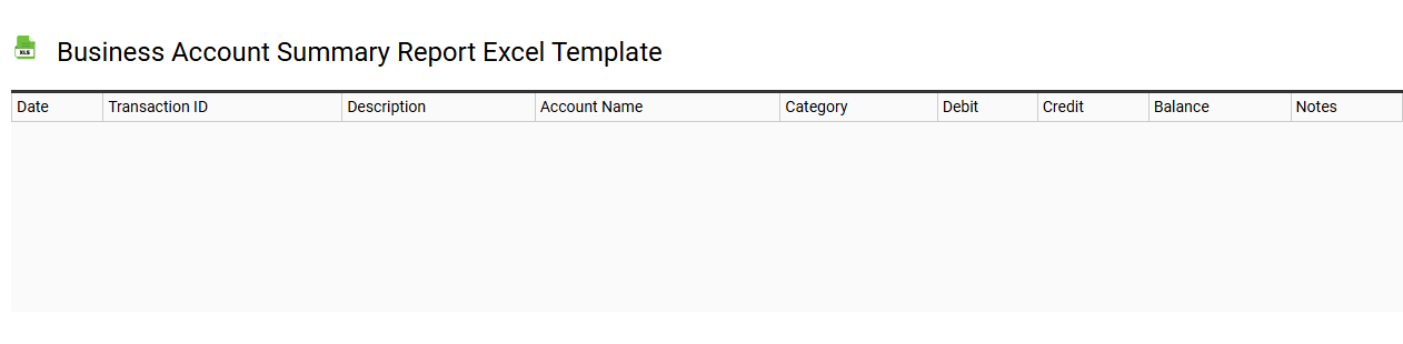 Business account summary report Excel template