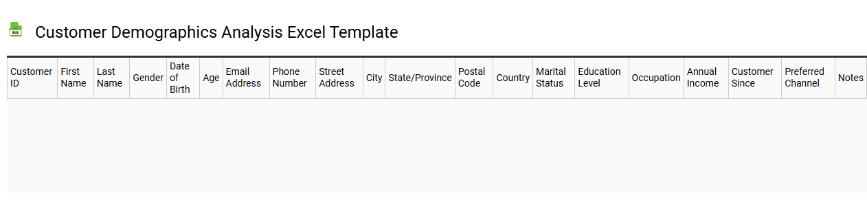 Customer demographics analysis Excel template