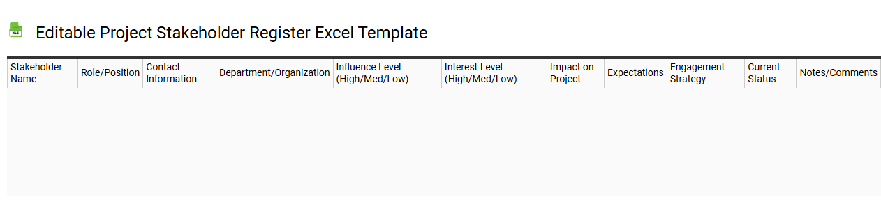 Editable project stakeholder register Excel template