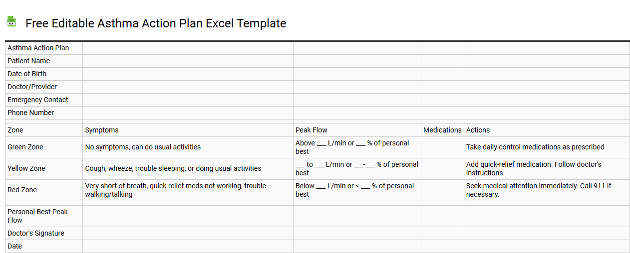 Free editable asthma action plan Excel template