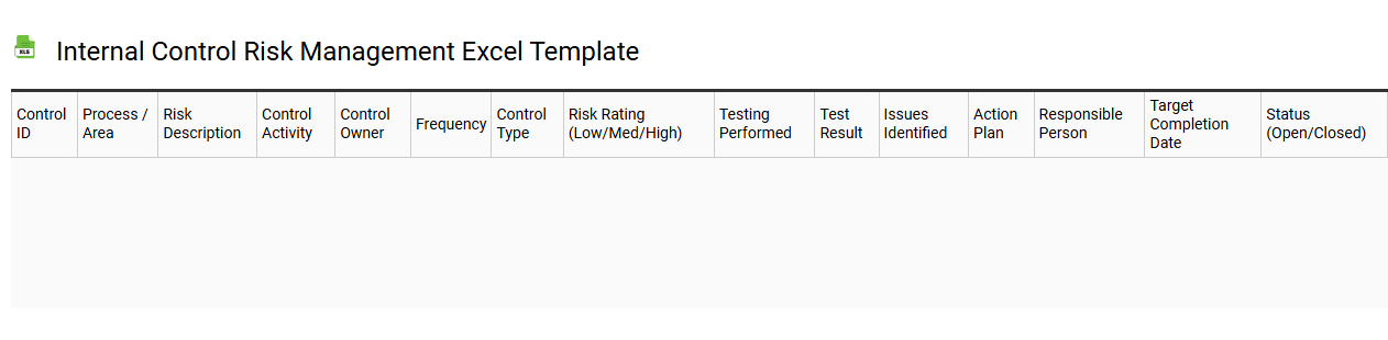 Internal control risk management Excel template