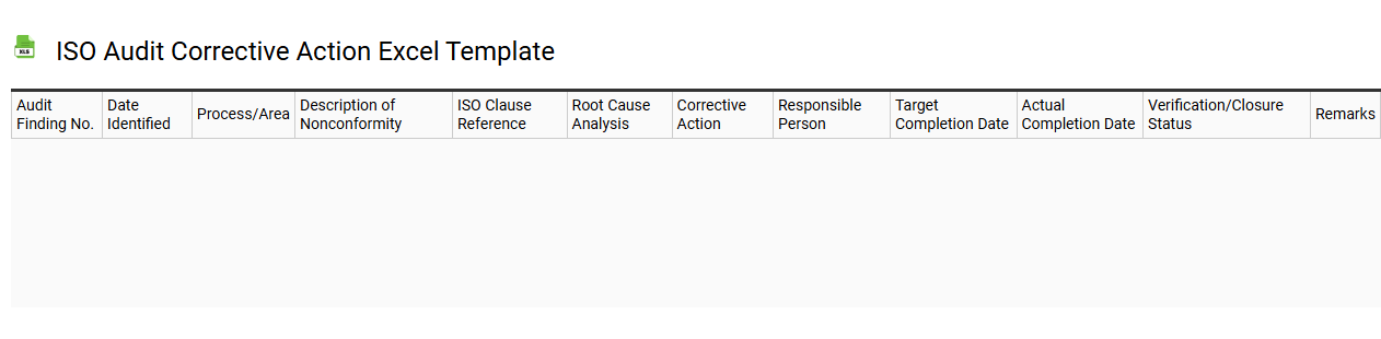 ISO audit corrective action Excel template