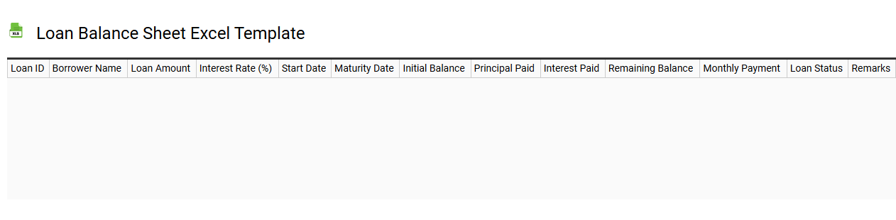 Loan balance sheet Excel template