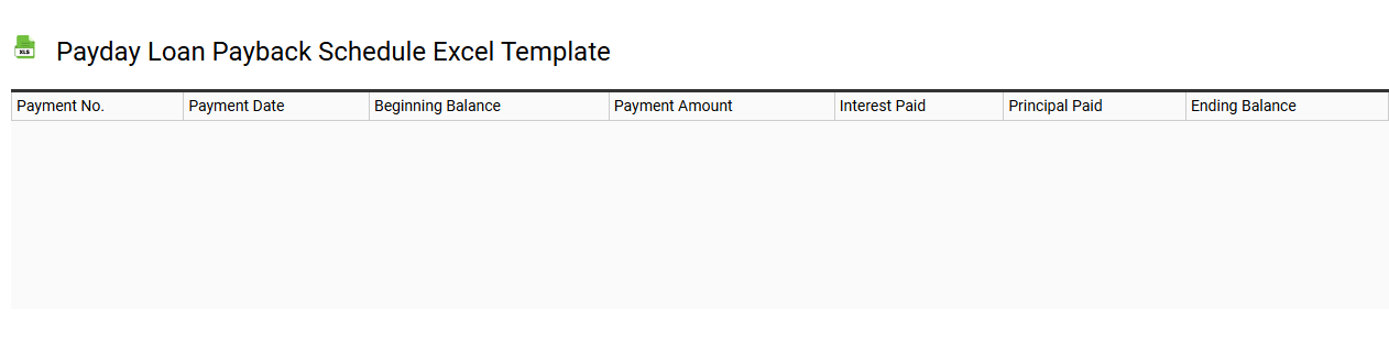 Payday loan payback schedule Excel template
