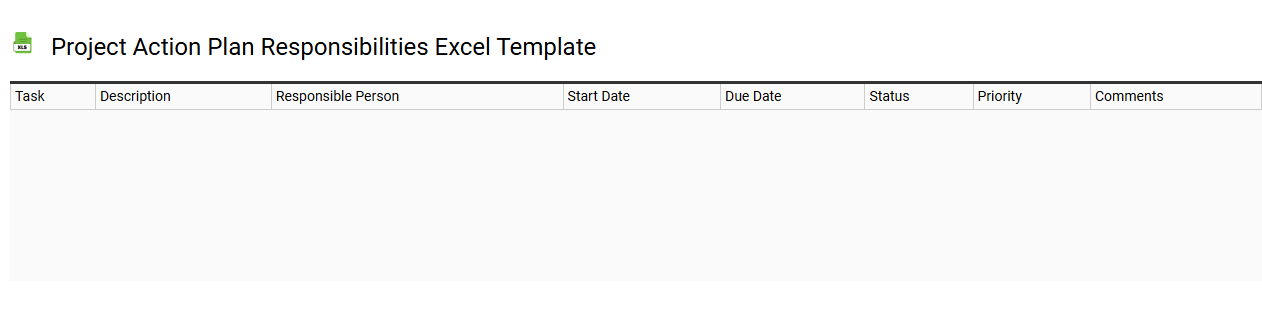 Project action plan responsibilities Excel template