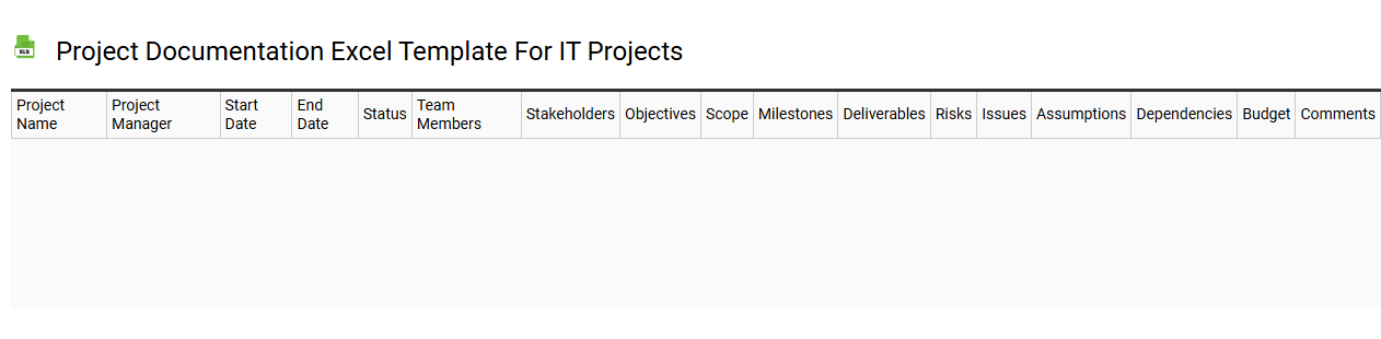 Project documentation Excel template for IT projects