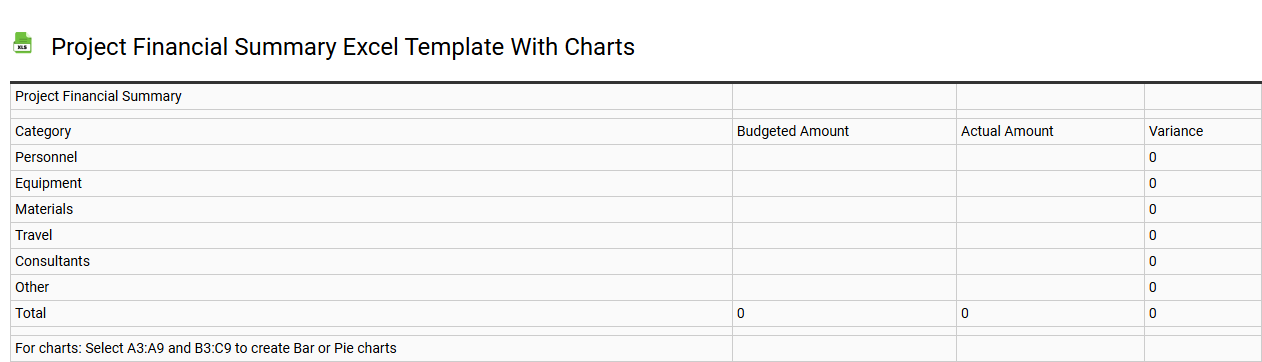 Project financial summary Excel template with charts
