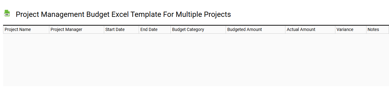 Project management budget Excel template for multiple projects