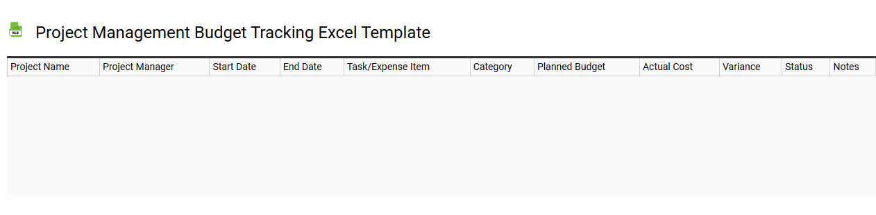 Project management budget tracking Excel template