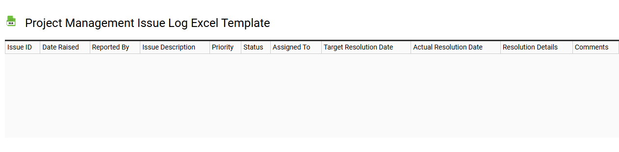 Project management issue log Excel template