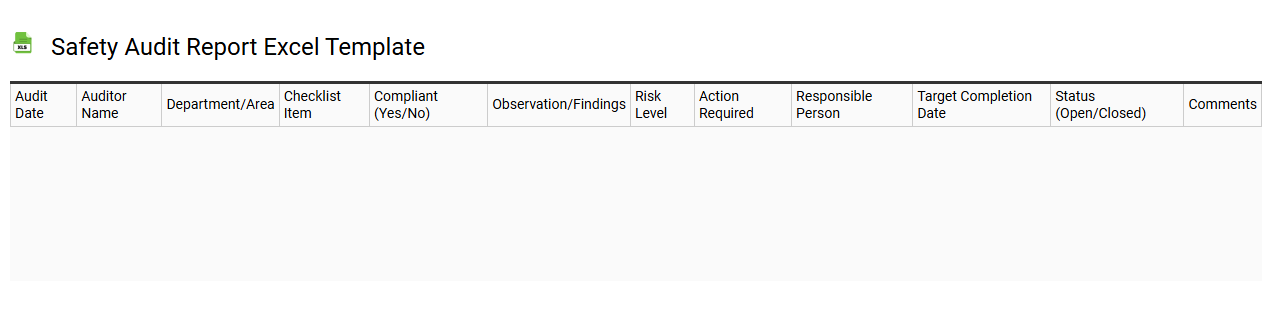Safety audit report Excel template