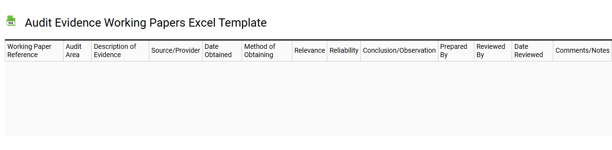 Audit evidence working papers Excel template