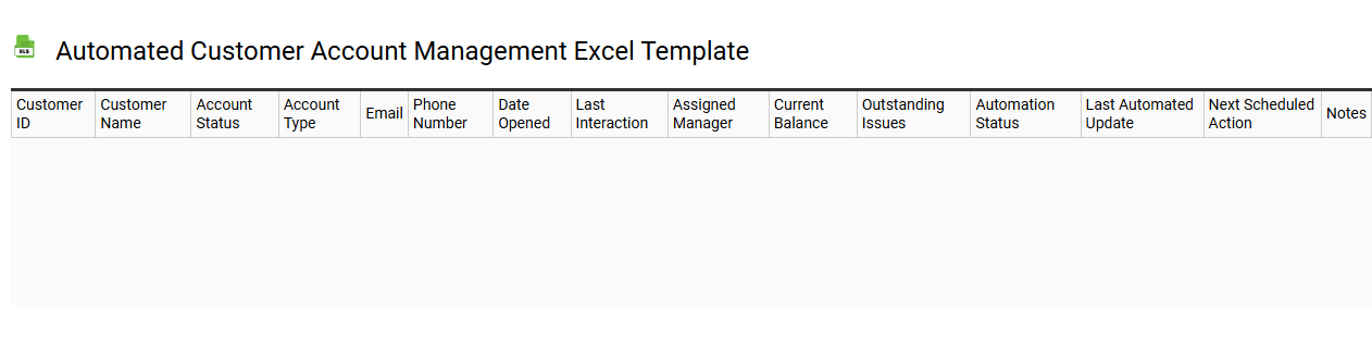Automated customer account management Excel template