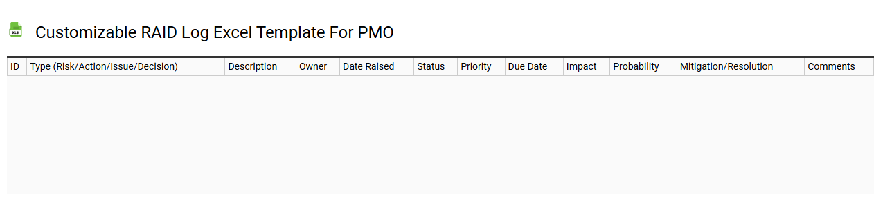 Customizable RAID log Excel template for PMO