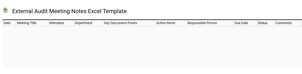 External audit meeting notes Excel template