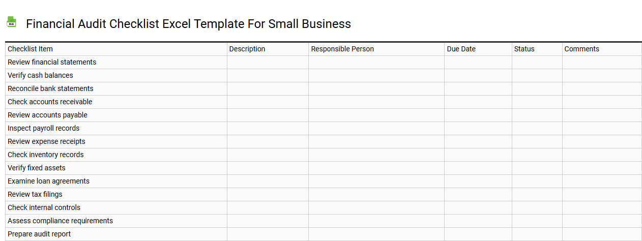 Financial audit checklist Excel template for small business