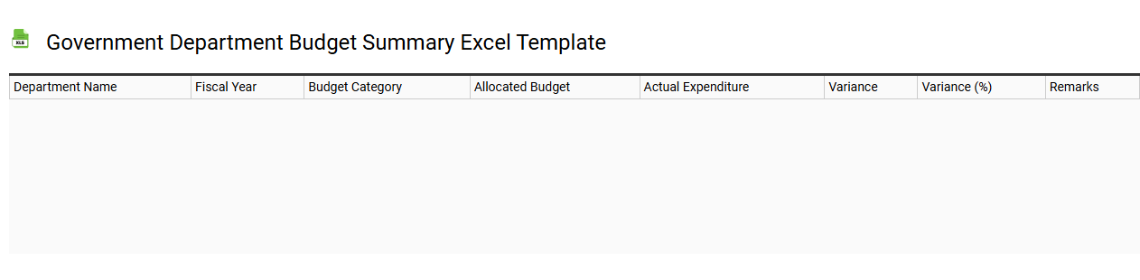 Government department budget summary Excel template