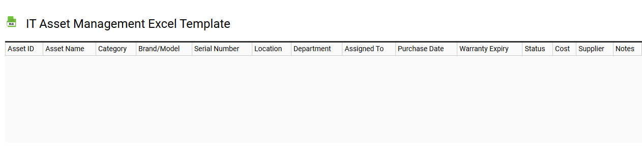 IT asset management Excel template