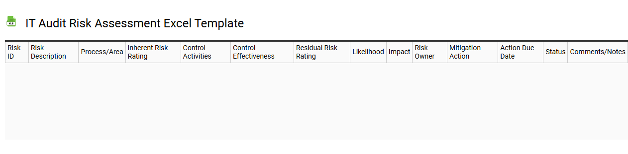 IT audit risk assessment Excel template