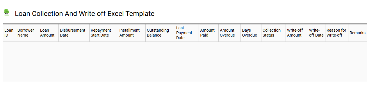 Loan collection and write-off Excel template
