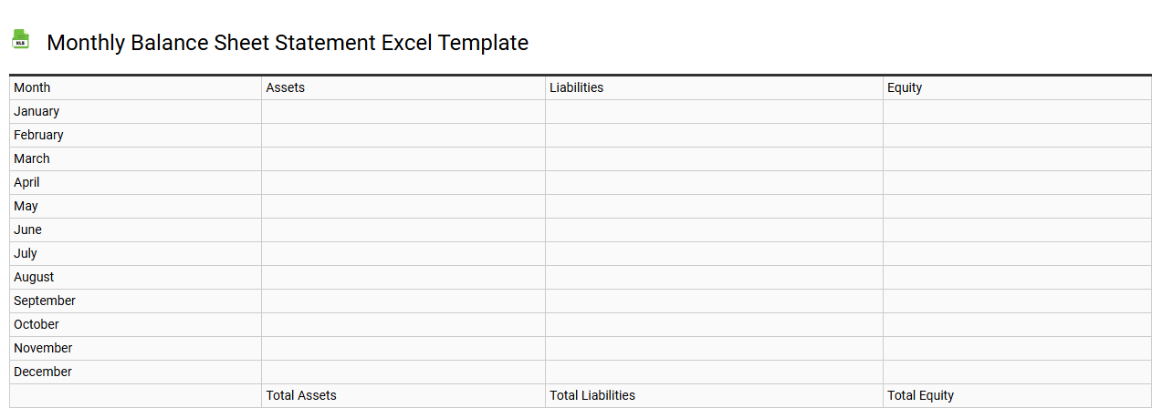 Monthly balance sheet statement Excel template