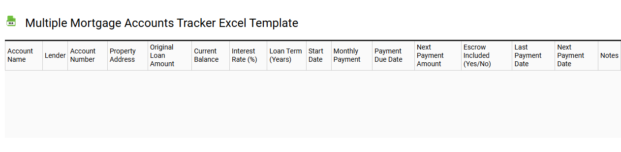 Multiple mortgage accounts tracker Excel template