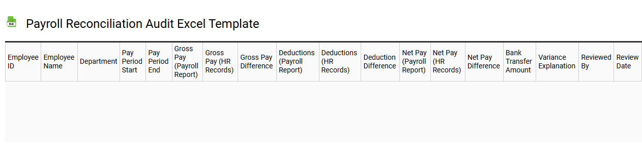 Payroll reconciliation audit Excel template