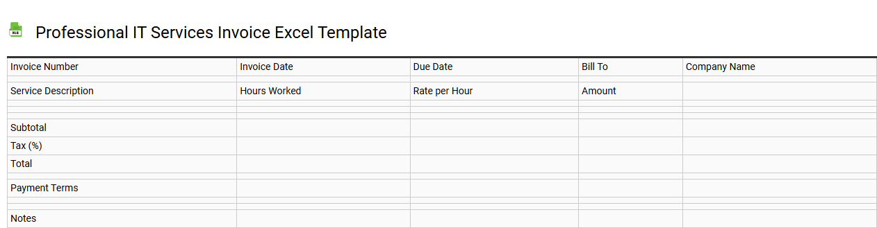 Professional IT services invoice Excel template