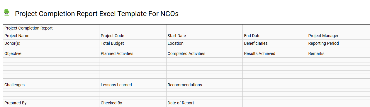 Project completion report Excel template for NGOs