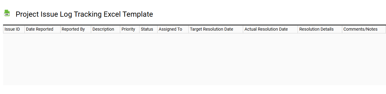 Project issue log tracking Excel template