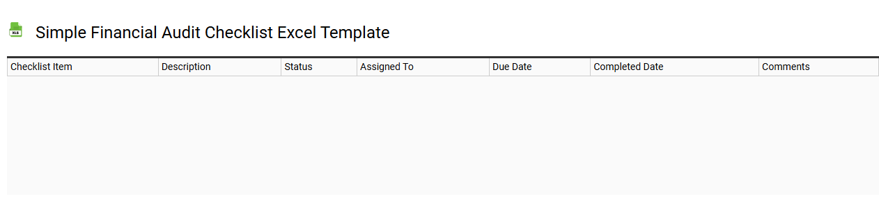 Simple financial audit checklist Excel template