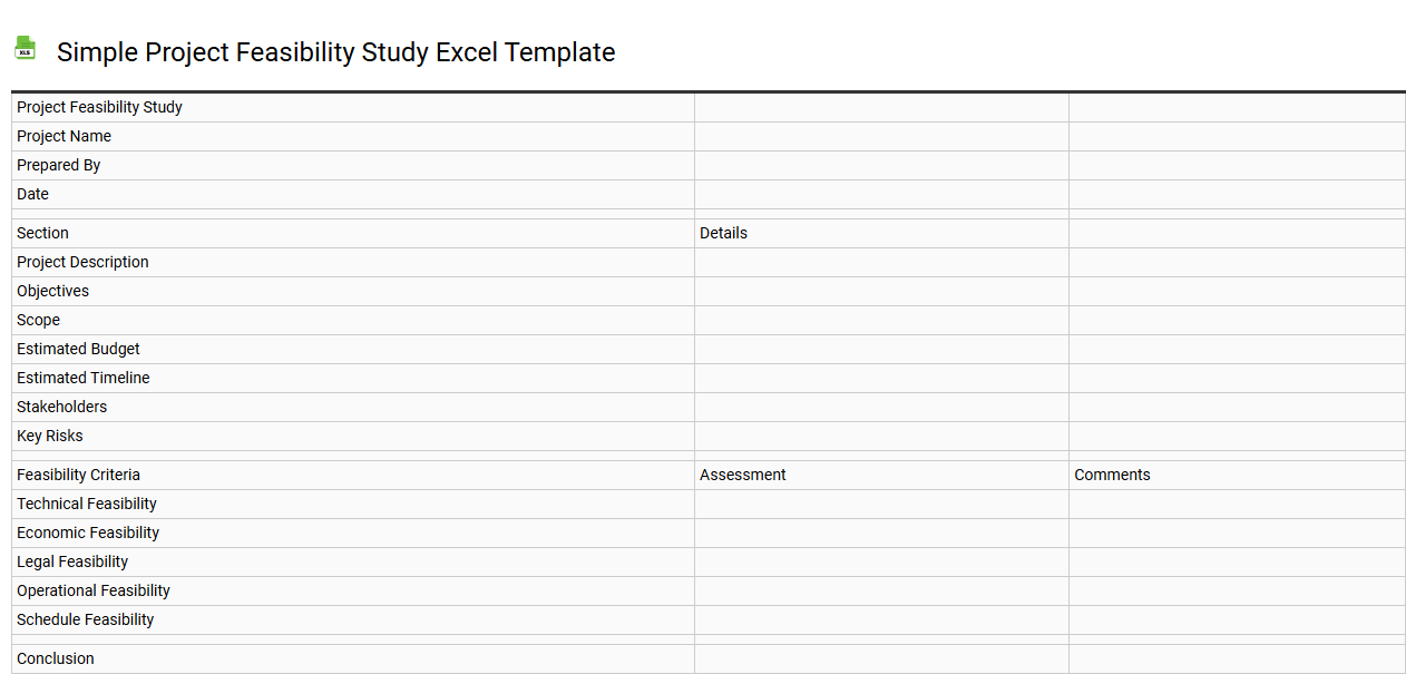 Simple project feasibility study Excel template