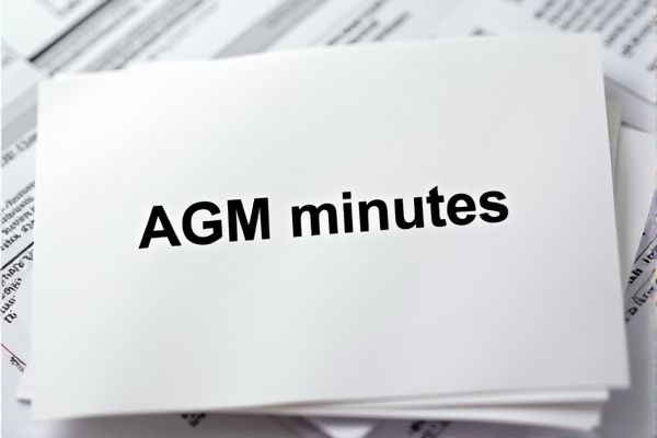 AGM Minutes Excel Template: Streamline Your Annual General Meeting Documentation