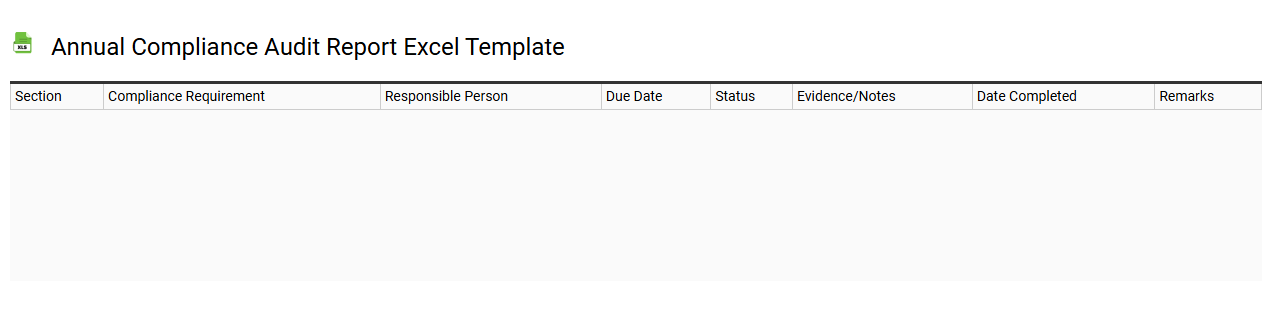 Annual compliance audit report Excel template