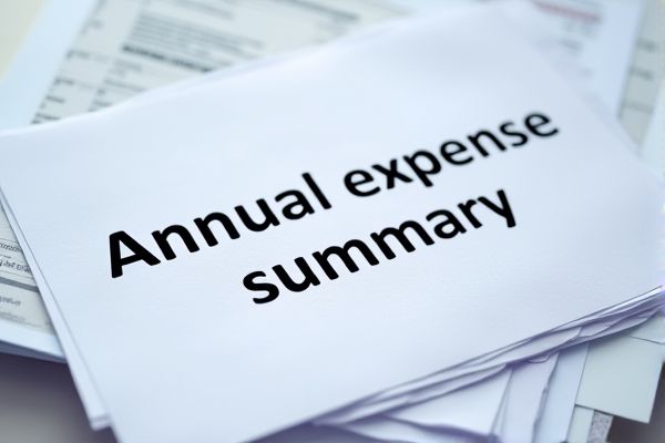 Comprehensive Annual Expense Summary Excel Template for Efficient Financial Tracking