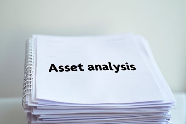 Comprehensive Guide to Asset Analysis Using an Excel Template