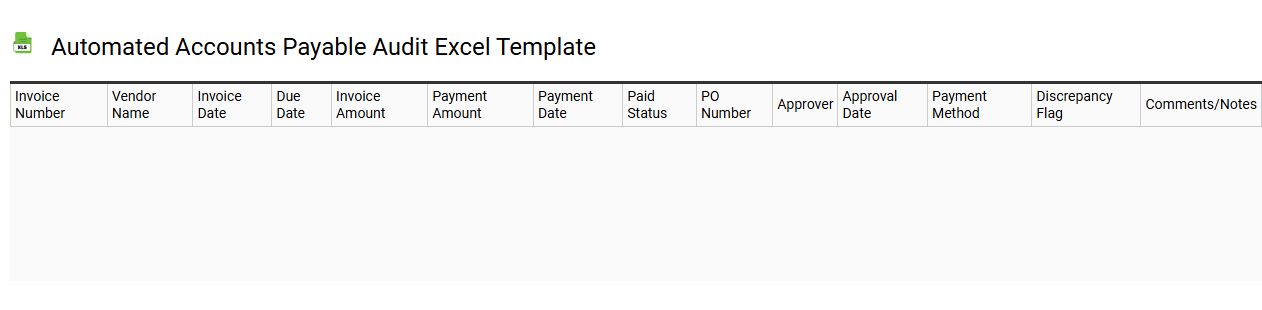 Automated accounts payable audit Excel template